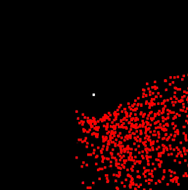 Image 2k900_2